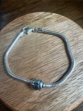 Sterling Silver Snake Chain Bracelet with Decorative ladybug charm